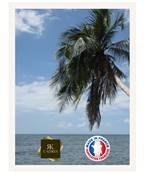 Cadre photo mural 10x15 / 10 x 15 Cadre Blanc 3 cm de largeur cadre en bois