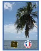 Cadre photo mural 10x15 / 10 x 15 Cadre Bleu Marine 2 cm de largeur cadre en bois
